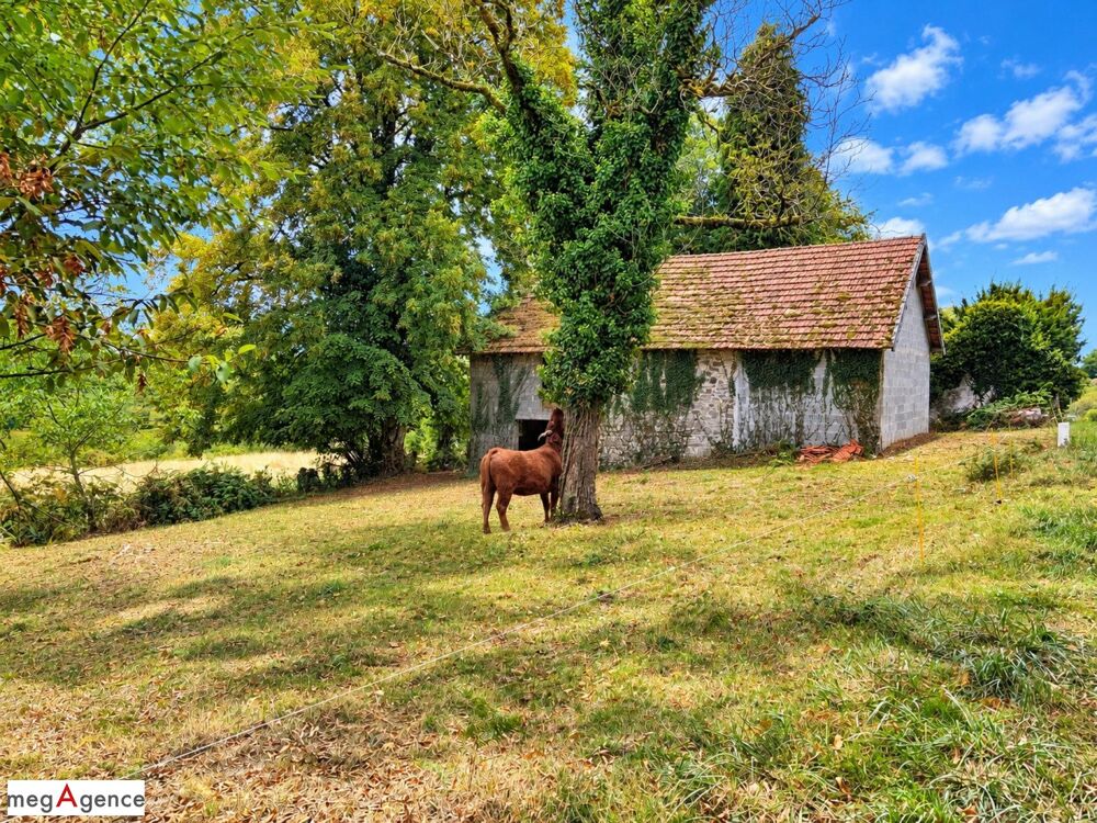 Vente Maison Grange en pierres et parpaings avec maison à restaurer Saint-mexant