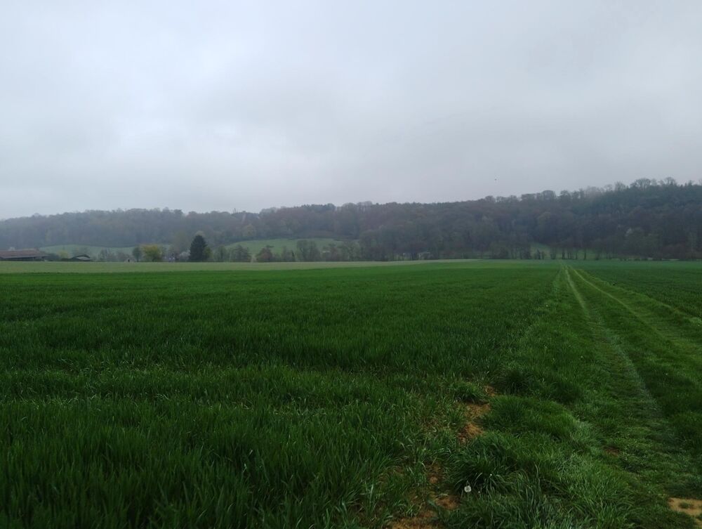 Vente Terrain Terrain agricole à vendre, idéal pour développer ou agrandir votre exploitation Saint-mard-de-reno