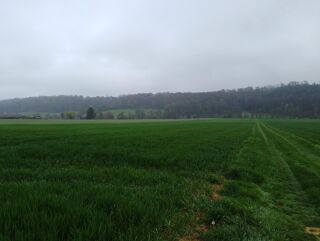  Terrain à vendre 190000 m²