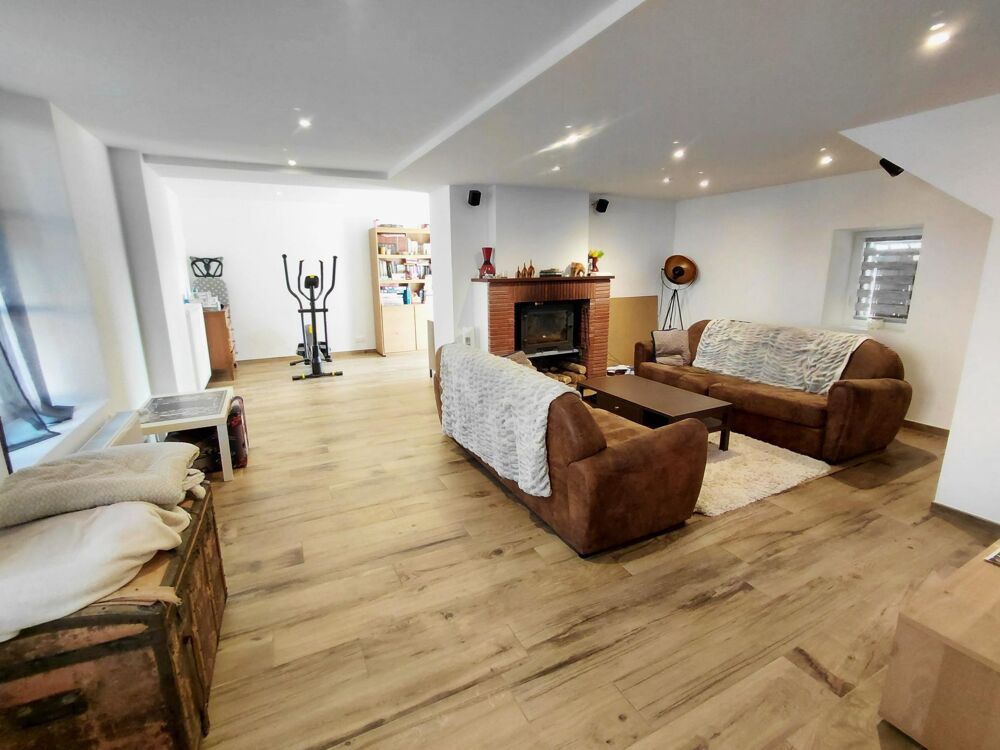 Maison, Gîte, chambres d'Hotes 233m², dépendance, jardin