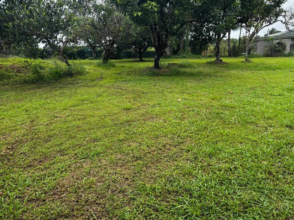Vente Terrain Terrain à bâtir Route de Stoupan  MATOURY 1329 m² Matoury