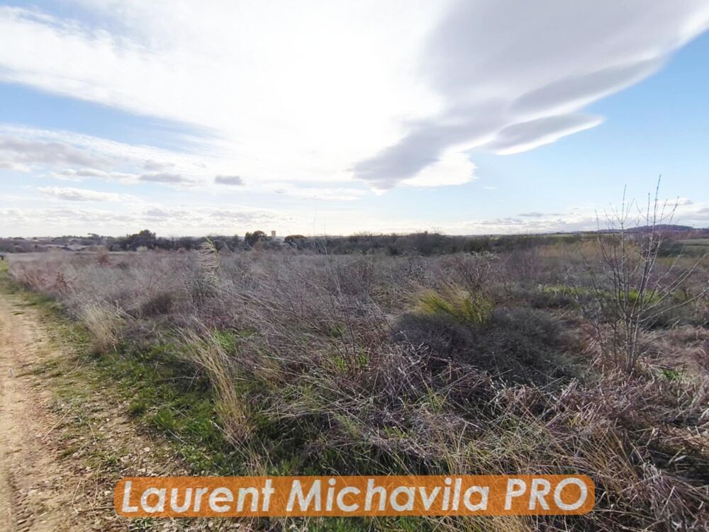 Vente Terrain Domaine viticole à vendre - Hérault (34) - Occitanie Usclas-d'herault