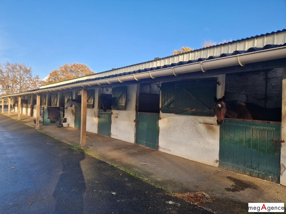Vente Maison Ecurie - Terrain 5 hectares - Manège 20x60 La chapelle-sur-erdre