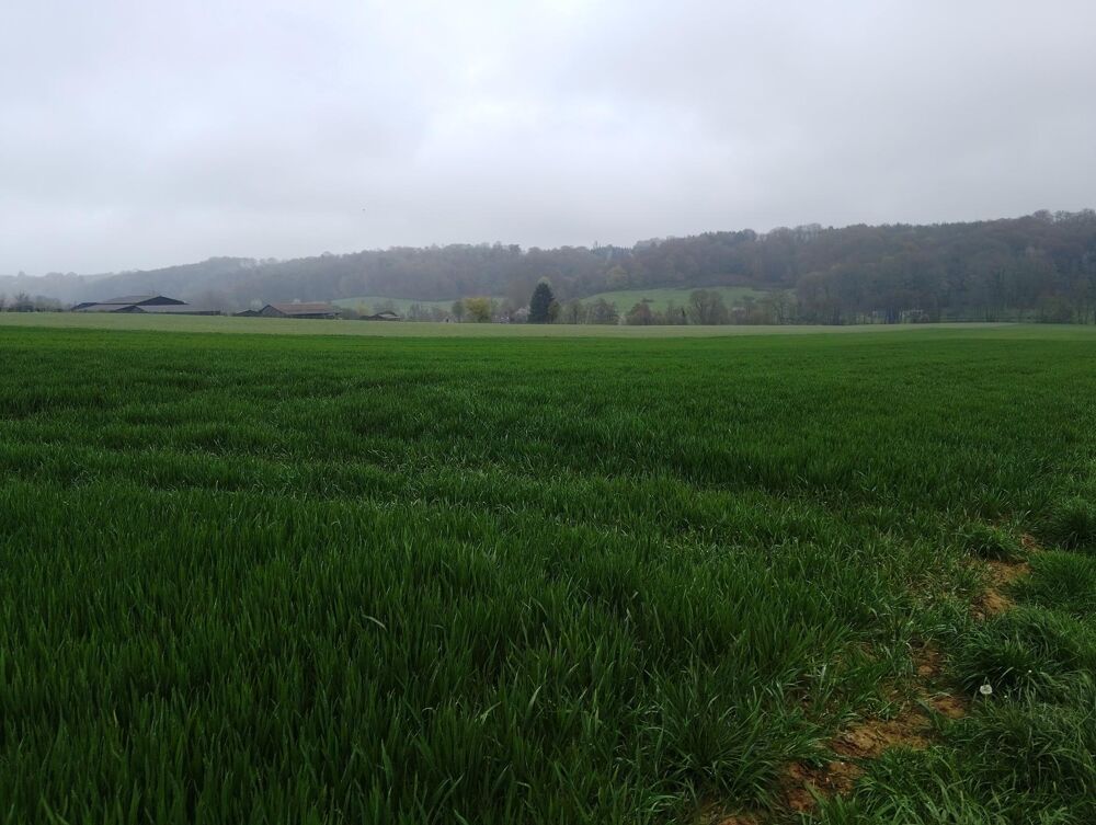 Vente Terrain Terrain agricole à vendre, idéal pour développer ou agrandir votre exploitation Saint-mard-de-reno