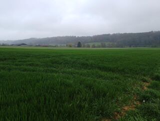  Terrain à vendre 190000 m²