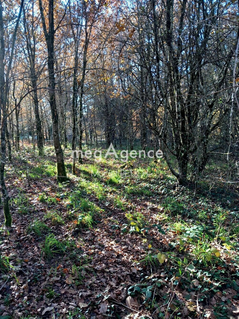 Vente Terrain terrain avec CU Le chastang