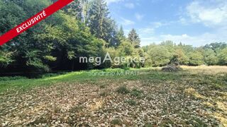  Terrain à vendre 10100 m²