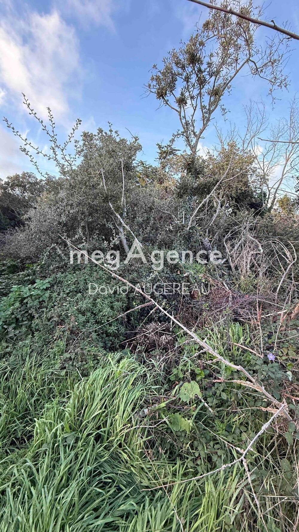 Vente Terrain Terrain constructible arrière port L' ile-d'yeu