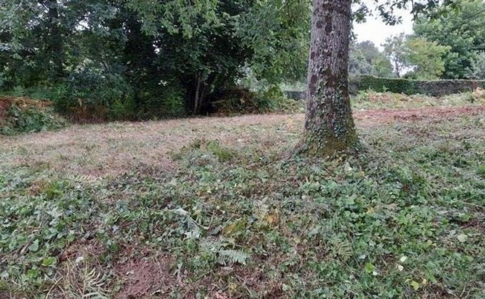 Vente Terrain Si vous deviez choisir un seul terrain… ce serait celui-ci Les monts d'andaine