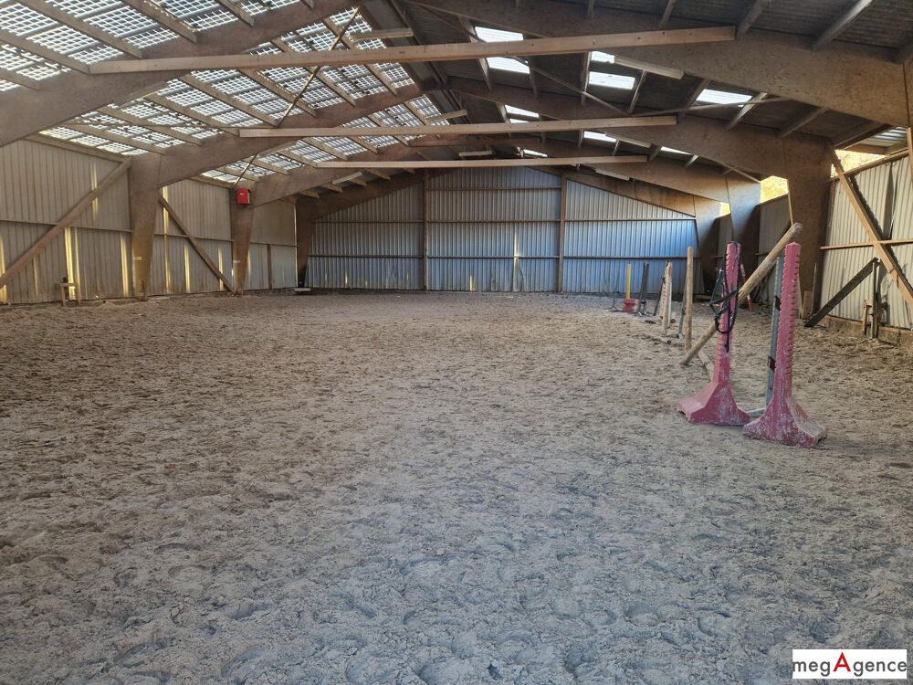 Vente Maison Ecurie - Terrain 5 hectares - Manège 20x60 La chapelle-sur-erdre