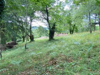  Terrain � vendre 2355 m�