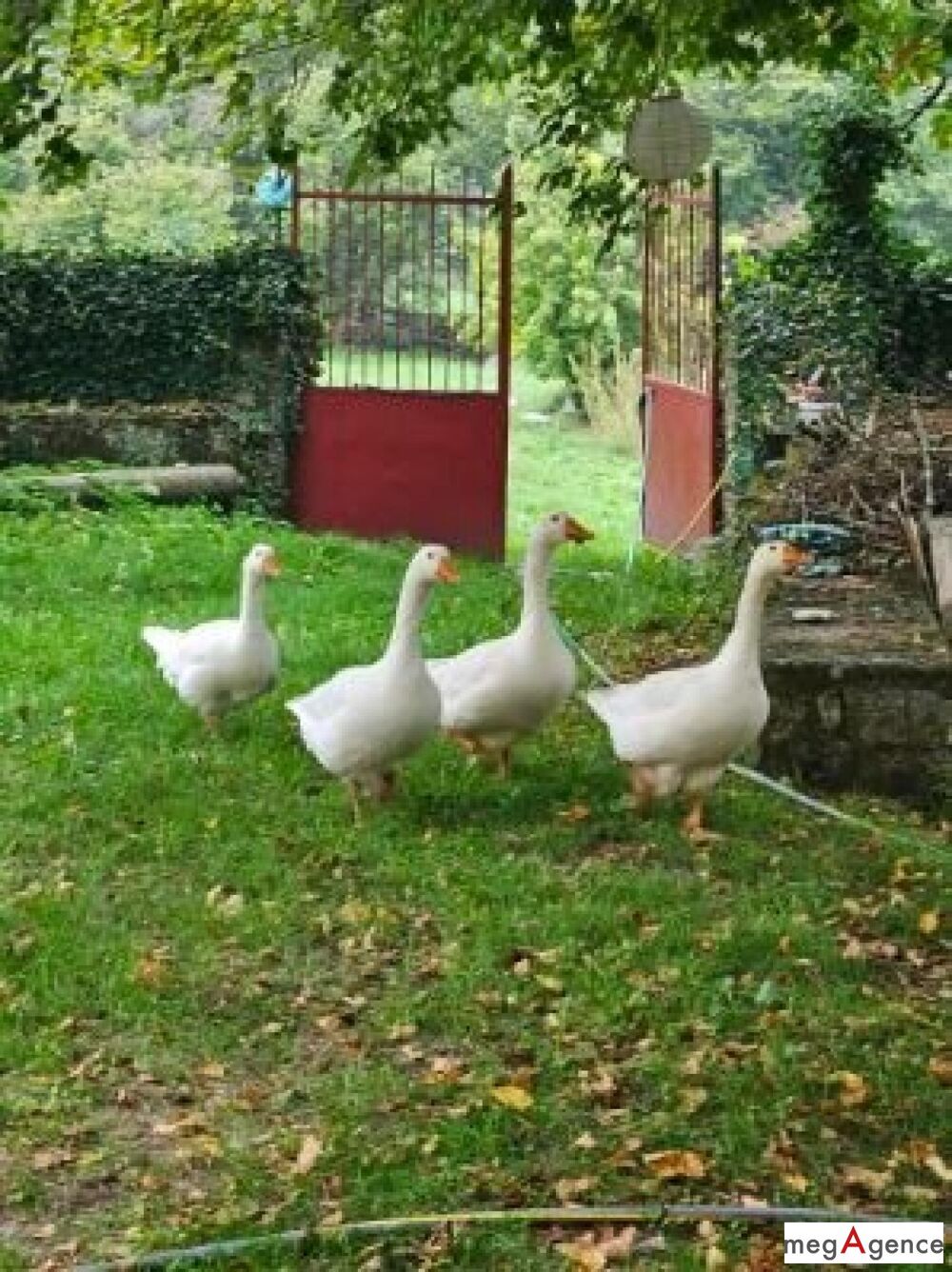 à vendre  Maison Quézac (48320)