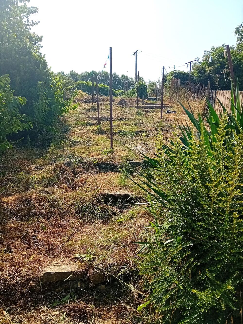 Vente Maison Ensemble de deux maisons La chapelle-des-pots