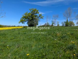  Terrain à vendre 1134 m²