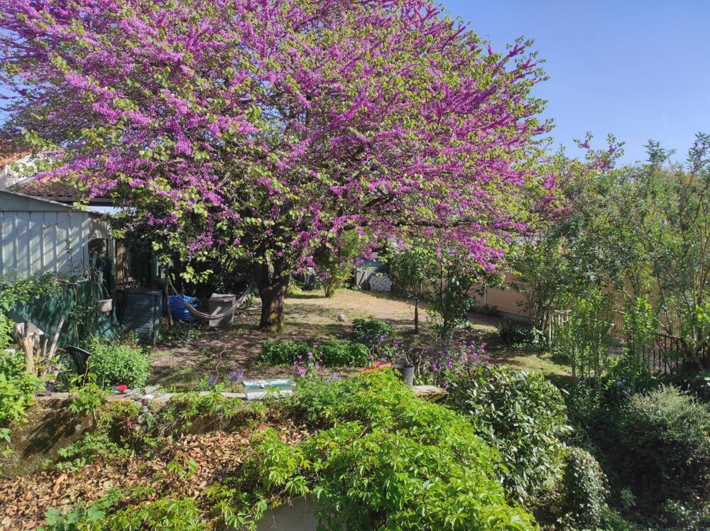 Vente Maison SAINT JEAN D'ANGELY CENTRE VILLE Saint-jean-d'angely