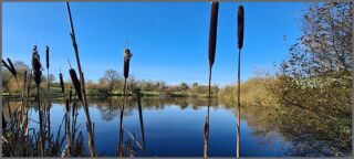  Terrain � vendre 14317 m� Bressuire