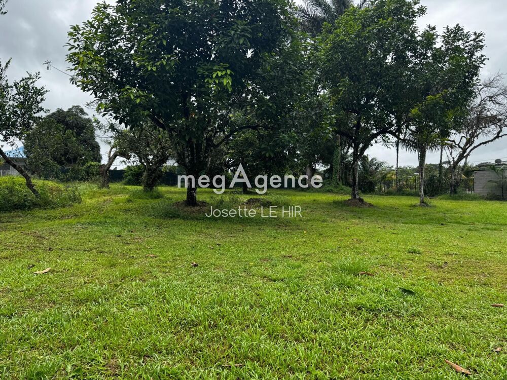 Vente Terrain Terrain à bâtir Route de Stoupan  MATOURY 1329 m² Matoury