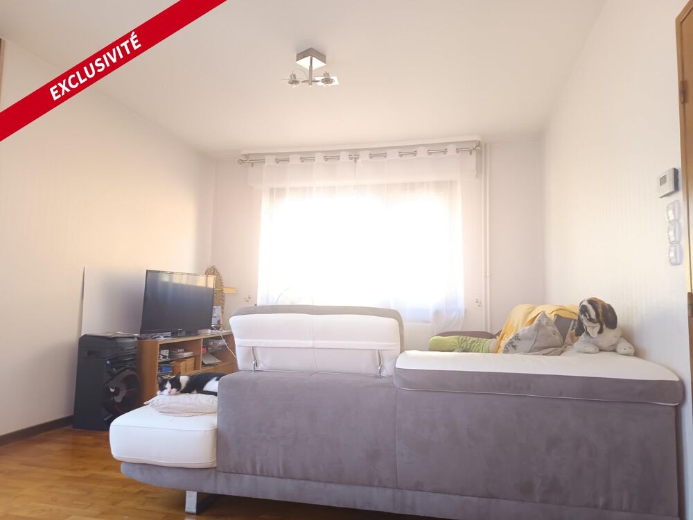 Vente Appartement Appartement ou maison Hochfelden - Schwindratzheim Mutzenhouse