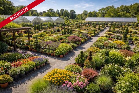 Vente p&eacute;pini&egrave;re - 25 minutes de Vannes (foncier / mat&eacute;riel et fonds de commerce) 248300 56000 Vannes