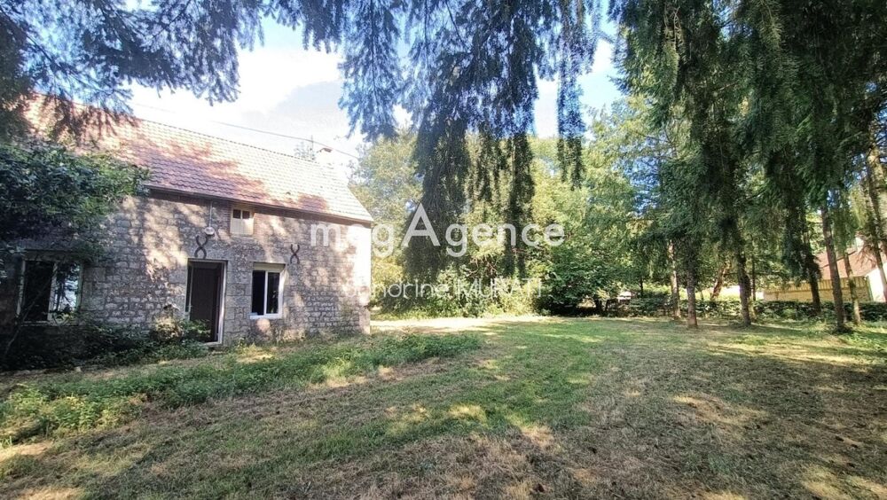 Vente Maison LIGNIERES ORGERES MAISON AVEC PARCELLE PIN DOUGLAS Lignieres-orgeres