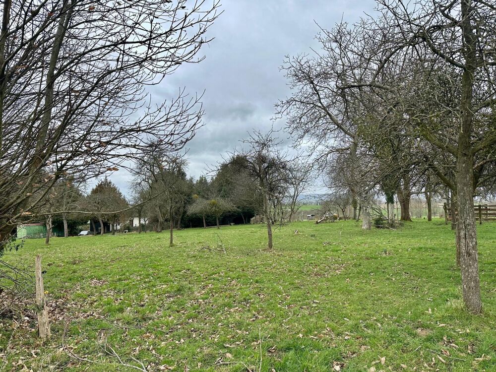 Vente Maison maison à rénover sur un hectare 6000m2 avec dépendances Sainte-marie-du-bois
