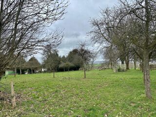 Vente Maison maison à rénover sur un hectare 6000m2 avec dépendances Sainte-marie-du-bois