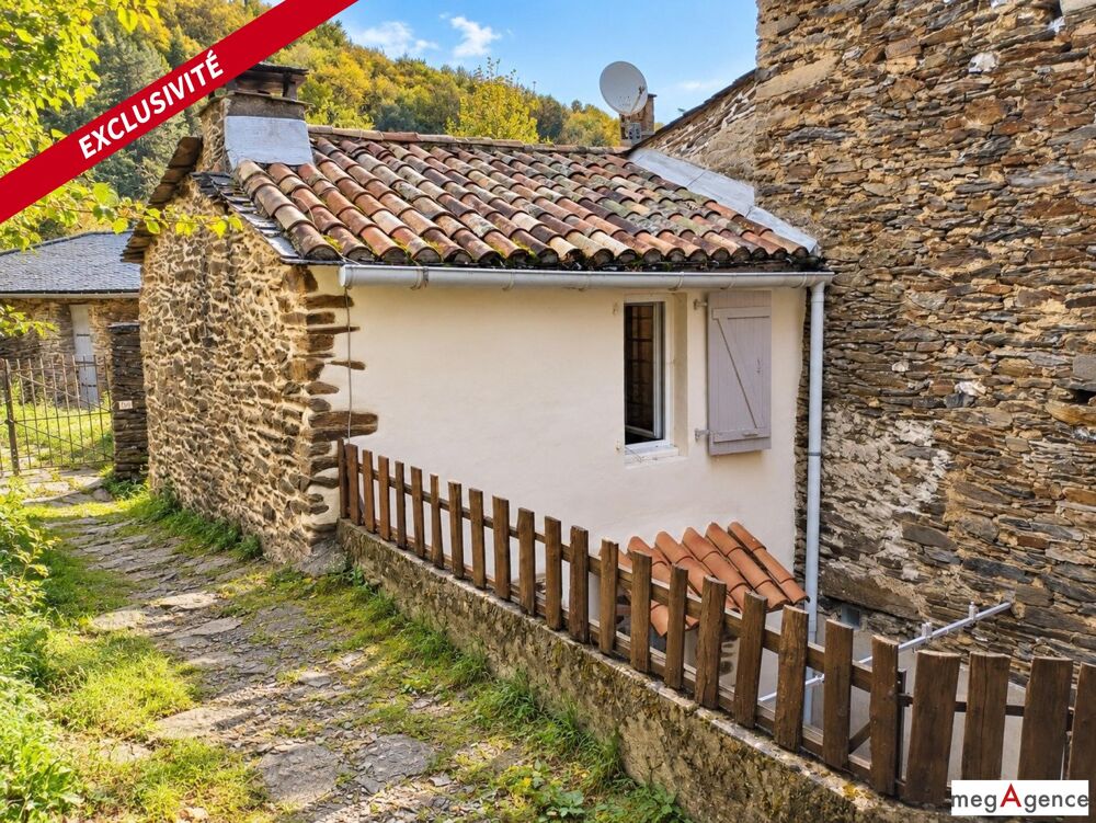 Cévennes : maison en pierre 2 chambres avec cour