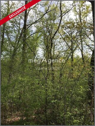  Terrain � vendre 34500 m�