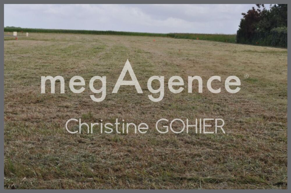 Vente Terrain Terrain Taillebourg