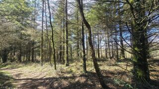  Terrain � vendre 5600 m�