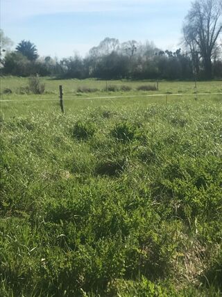  Terrain � vendre 12500 m�