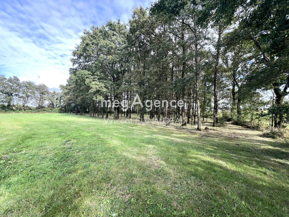Vente Terrain Etang Cholet