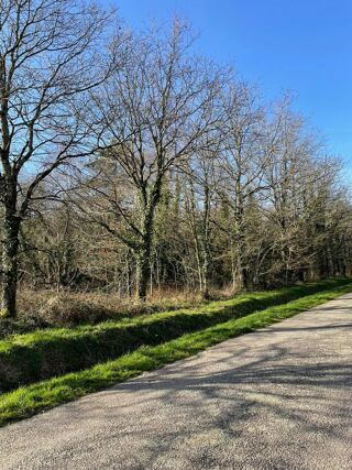  Terrain � vendre 11290 m�