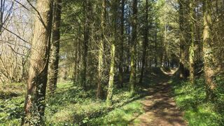  Terrain � vendre 5600 m� Silfiac