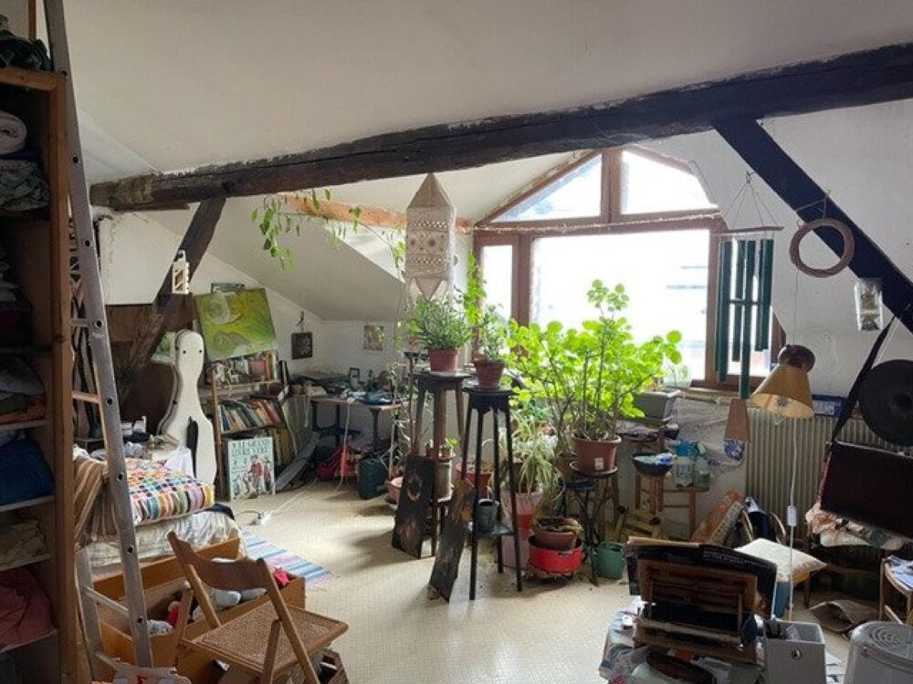 Maison de ville XVIIe avec jardin-boutique
