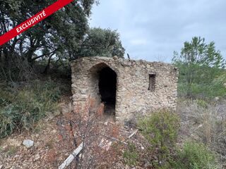 Vente Terrain Terrain agricole 10160 m2 Belesta