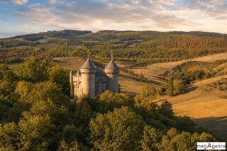  Propriété/château à vendre 15 + pièces 585 m²