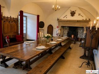  Propriété/château à vendre 15 + pièces 585 m²