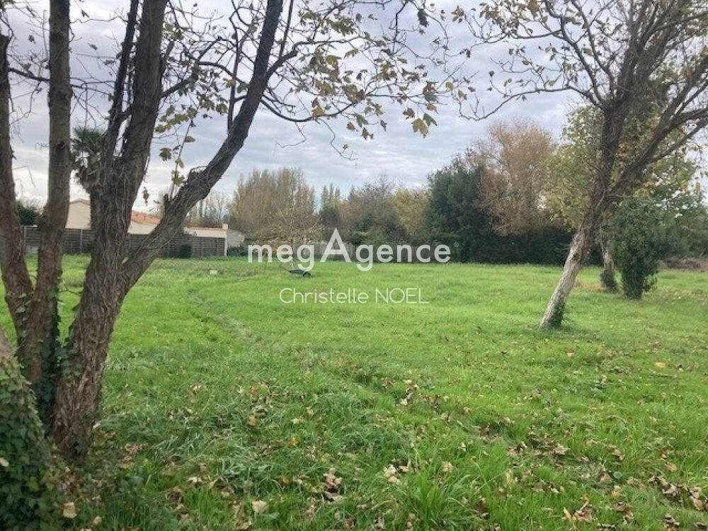Vente Terrain terrain construcible Luçon Lucon