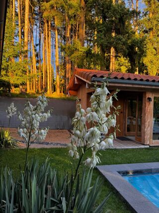  Maison � vendre 6 pi�ces 290 m�