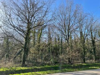  Terrain � vendre 11290 m� Guer