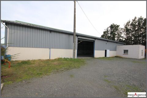 Local professionnnel 125000 72500 Vaas