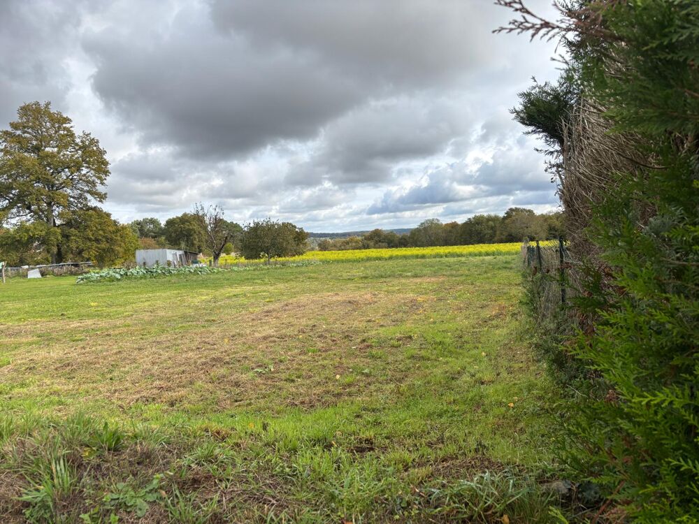 Vente Terrain Terrain 1356 m2 Peillac