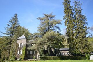  Propriété/château à vendre 15 + pièces 941 m²
