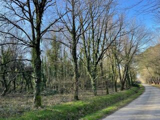  Terrain  vendre 11290 m