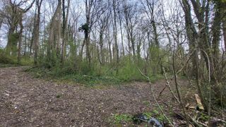  Maison � vendre 7 pi�ces 242 m�