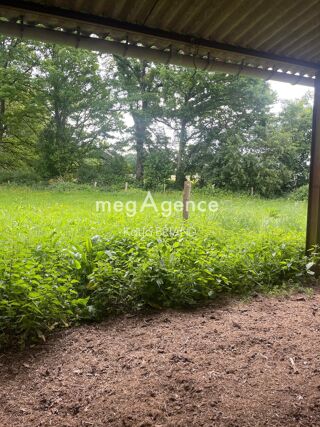  Terrain à vendre 31800 m²