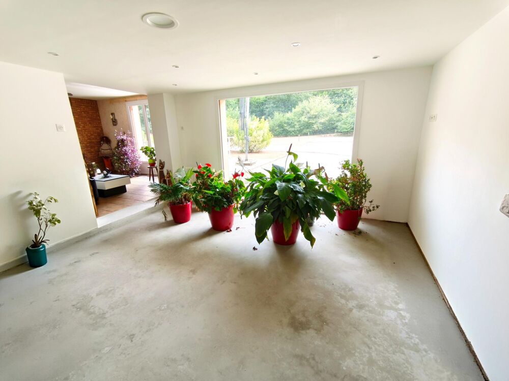 Vente Maison pavillon 186m² en forêt : 5 ch. sur plus de 2000m² Saint-mars-la-briere