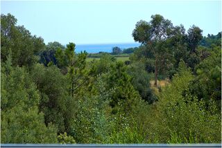  Maison � vendre 7 pi�ces 250 m�