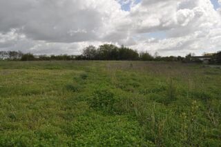  Terrain à vendre 4979 m²